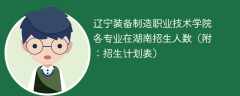 辽宁装备制造职业技术学院在湖南各专业2025招生人数、录取分数线（附：招生计划表）