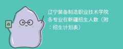 辽宁装备制造职业技术学院各专业2025在新疆招生人数、录取分数线（附：招生计划表）