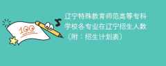 辽宁特殊教育师范高等专科学校各专业2025在辽宁招生人数、录取分数线（附：招生计划表）