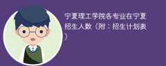 宁夏理工学院在宁夏各专业2025招生人数、录取分数线（附：招生计划表）