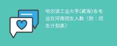 哈尔滨工业大学(威海)在河南各专业招生人数、录取分数线2025（附：招生计划表）