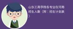 山东工商学院在河南各专业招生人数、录取分数线2025（附：招生计划表）