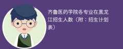 齐鲁医药学院2025各专业在黑龙江招生人数、录取分数线（附：招生计划表）