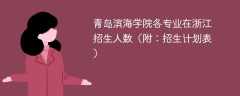 青岛滨海学院在浙江各专业招生人数、录取分数线2025（附：招生计划表）