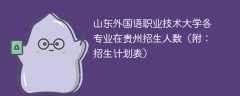 山东外国语职业技术大学在贵州2025各专业招生人数、录取分数线（附：招生计划表）