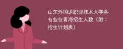 2025山东外国语职业技术大学在青海各专业招生人数、录取分数线（附：招生计划表）
