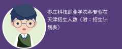 枣庄科技职业学院在天津各专业2025招生人数、录取分数线（附：招生计划表）