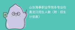 山东海事职业学院在黑龙江各专业招生人数、录取分数线2025（附：招生计划表）