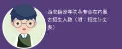 西安翻译学院在内蒙古各专业招生人数、录取分数线2025（附：招生计划表）