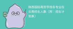 陕西国际商贸学院在云南各专业2025招生人数、录取分数线（附：招生计划表）