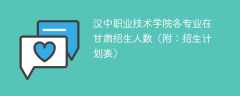 2025汉中职业技术学院在甘肃各专业招生人数、录取分数线（附：招生计划表）