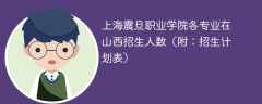 上海震旦职业学院在山西各专业2025招生人数、录取分数线（附：招生计划表）