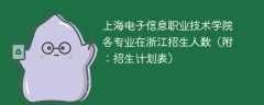 上海电子信息职业技术学院各专业2025在浙江招生人数、录取分数线（附：招生计划表）