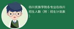 四川民族学院在四川各专业招生人数、录取分数线2025（附：招生计划表）