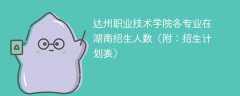 2025达州职业技术学院各专业在湖南招生人数、录取分数线（附：招生计划表）