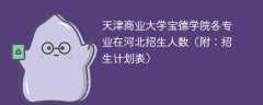 天津商业大学宝德学院在河北各专业2025招生人数、录取分数线（附：招生计划表）