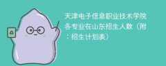 天津电子信息职业技术学院2025各专业在山东招生人数、录取分数线（附：招生计划表）