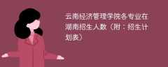 2025云南经济管理学院在湖南各专业招生人数、录取分数线（附：招生计划表）
