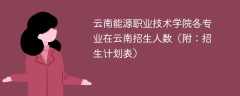 2025云南能源职业技术学院在云南各专业招生人数、录取分数线（附：招生计划表）