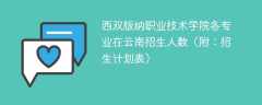 西双版纳职业技术学院在云南各专业招生人数、录取分数线2025（附：招生计划表）
