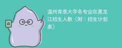 温州肯恩大学在黑龙江各专业招生人数、录取分数线2025（附：招生计划表）