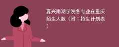 嘉兴南湖学院在重庆各专业招生人数、录取分数线2025（附：招生计划表）