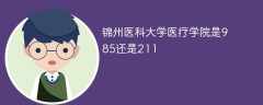 锦州医科大学医疗学院是985还是211