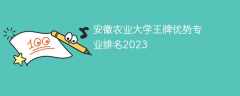 安徽农业大学王牌优势专业排名2023