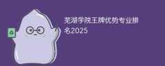 芜湖学院王牌优势专业排名2025