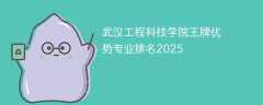 武汉工程科技学院王牌优势专业排名2025