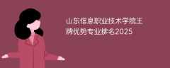 山东信息职业技术学院王牌优势专业排名2025