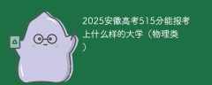 2025安徽高考515分能报考上什么样的大学（物理类）