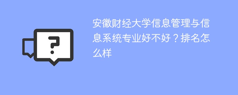 安徽财经大学信息管理与信息系统专业排名