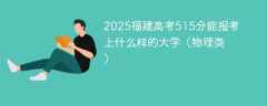 2025福建高考515分能报考上什么样的大学（物理类）