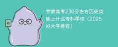 甘肃高考230分左右历史类能上什么专科学校（2025好大学推荐）