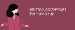 合肥大学汉语言文学专业好不好？排名怎么样