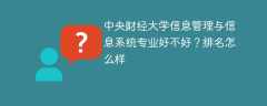 中央财经大学信息管理与信息系统专业好不好？排名怎么样
