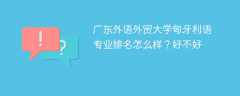 广东外语外贸大学匈牙利语专业排名怎么样？好不好