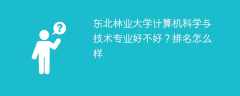 东北林业大学计算机科学与技术专业好不好？排名怎么样