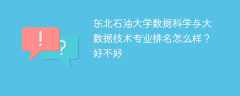 东北石油大学数据科学与大数据技术专业排名怎么样？好不好