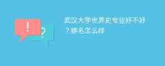 武汉大学世界史专业好不好？排名怎么样