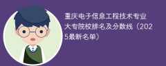 重庆电子信息工程技术专业大专院校排名及分数线（2025最新名单）