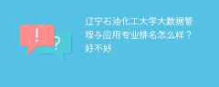 辽宁石油化工大学大数据管理与应用专业排名怎么样？好不好