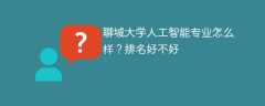 聊城大学人工智能专业怎么样？排名好不好