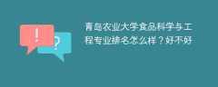 青岛农业大学食品科学与工程专业排名怎么样？好不好