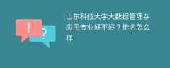 山东科技大学大数据管理与应用专业好不好？排名怎么样