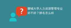 聊城大学人力资源管理专业好不好？排名怎么样