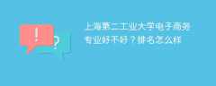 上海第二工业大学电子商务专业好不好？排名怎么样