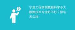 宁波工程学院数据科学与大数据技术专业好不好？排名怎么样