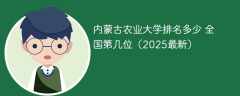 内蒙古农业大学排名多少 全国第几位（2025最新）